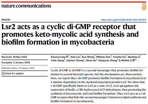 我校李伟辉教授团队揭示分枝杆菌生物被膜形成的调控新机理（2...